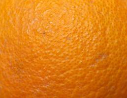 cítricos de frutas de naranja foto
