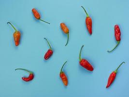 top view of red chili with blue background. suitable for seasoning and cooking concept photo