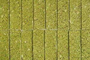 Crispy chips with kelp and spirulina as background texture photo