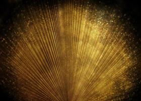 abstract gold background for luxury product photo