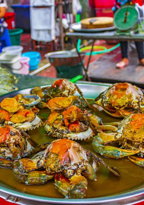 趣味・スポーツ・実用 The Food of Northern Thailand 趣味・スポーツ・実用 The Food of Northern Thailand The Food