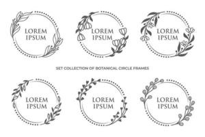 conjunto de colección de borde de marco de círculo floral botánico vector