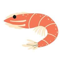 Childrens illustration of a cute shrimp. Hand-drawn orange shrimp. Marine animal. vector