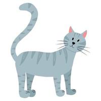 Vector illustration of a gray tabby cat. Cute cat isolated on a white background. Pets.