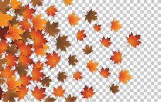 Leaf PNG, Vector, PSD, and Clipart With Transparent Background for Free  Download