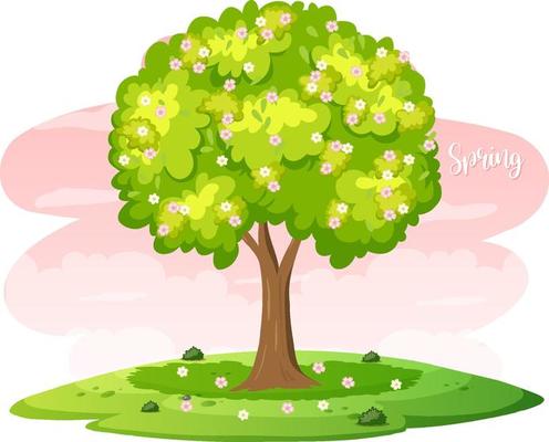 Spring Tree Vector Art, Icons, and Graphics for Free Download