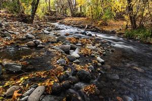 Creek Rapids Fall Leaves photo