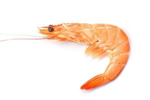 Shrimp isolated on white background cooking seafood shrimps prawns served white background photo