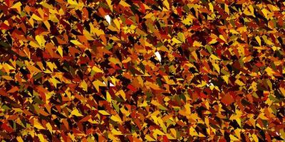 Dark Red, Yellow vector background with triangles.