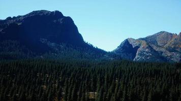 panorama del bosque de conos en las montañas video