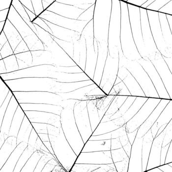 textura de vector grunge rústico con grano y manchas. Fondo de ruido abstracto. superficie degradada. sucio y dañado.