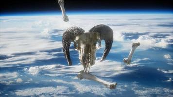 rams skull with bones at Earth orbit video