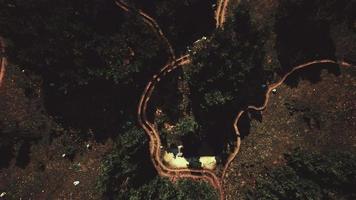 luchtfoto van de weg door het bos video