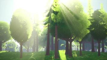 Cartoon Green Forest Landscape with Trees and flowers video