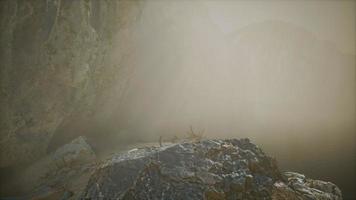 rotsachtige klif met zandstrand in diepe mist video