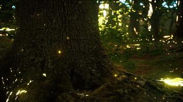 Fantasy firefly lights in the magical forest