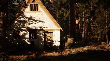 old wooden house in the autumn forest video