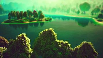 Cartoon Green Forest Landscape with Trees and lake video