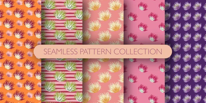 Set of seamless bush pattern. Shrubs background collection. Abstract cactus backdrop.