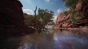 Colorado river with red stones and trees video