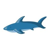 cute shark isolated on white background vector