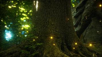 Fantasy firefly lights in the magical forest video