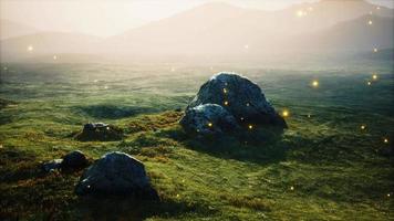 big stones in grass field video