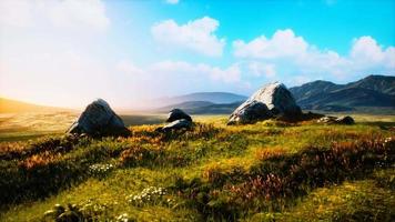 meadow with huge stones among the grass on the hillside at sunset video