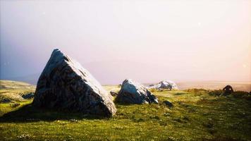 alpine meadow with rocks and green grass video