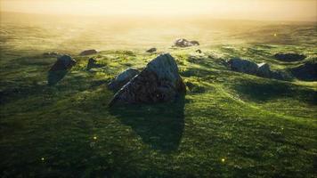 alpine meadow with rocks and green grass video