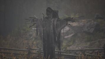 terrible scarecrow in dark cloak and dirty hat stands alone in autumn field video