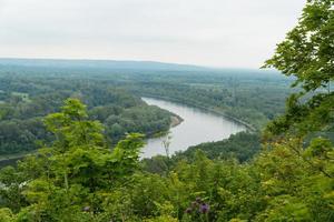 tree on the background of the landscape with the river and forest photo