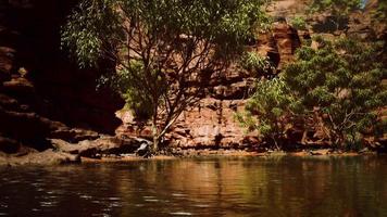 Colorado River mit wunderschönen Sandsteinwänden und Schluchten video