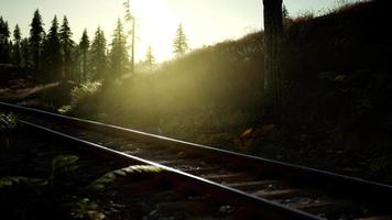 Herbstfarben entlang einer Bahnstrecke bei Sonnenuntergang video