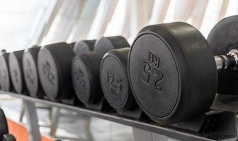 row of dumbbells in a modern gym photo