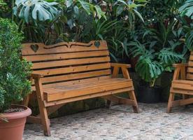 bench in the Botanical greenhouse. tropical decorative orangery photo