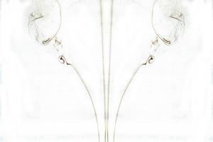 Abstract smoke swirls on white background photo