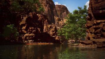 Panoramic view of Colorado River video