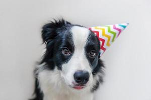 retrato divertido de un lindo cachorro sonriente border collie con un sombrero tonto de cumpleaños mirando a la cámara aislada en el fondo blanco. concepto de fiesta de feliz cumpleaños. divertidas mascotas animales vida. foto