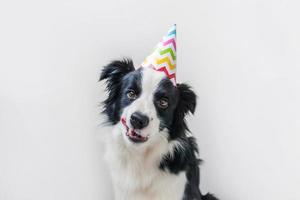 retrato divertido de un lindo cachorro sonriente border collie con un sombrero tonto de cumpleaños mirando a la cámara aislada en el fondo blanco. concepto de fiesta de feliz cumpleaños. divertidas mascotas animales vida. foto