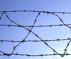 Barbed wire fence photo