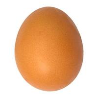 huevo aislado sobre fondo blanco foto