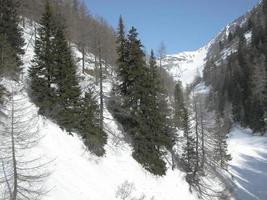 View of Piz Bernina Alps mountains in Switzerland photo