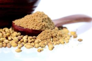 Coriander seeds, Fresh Coriander and Powdered coriander isolated on white background. photo