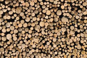 heap of wooden logs background photo
