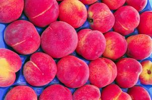 Orange peach fruit - healthy vegetarian diet food - useful as a photo