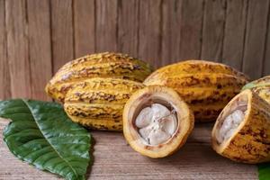Halved cocoa fruit and cocoa pods photo