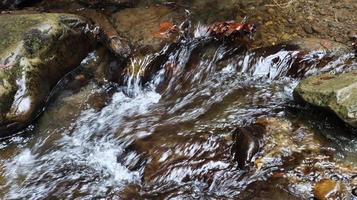 paisaje de un río de montaña en el bosque a principios de otoño y finales de verano. agua en un arroyo natural. bosque hermoso y relajante con un río. río profundo en el bosque de montaña. composición de la naturaleza. foto