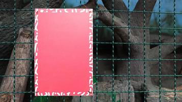 Red blank metallic signboard on a fence for artwork template design. blank form. Copy space for your text or logo. photo