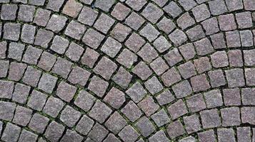 The texture of the paved tile of the street. Concrete paving slabs. Paving slabs. Grass between the slabs. Texture of paving slabs overgrown with grass. Background image of a stratum stone photo